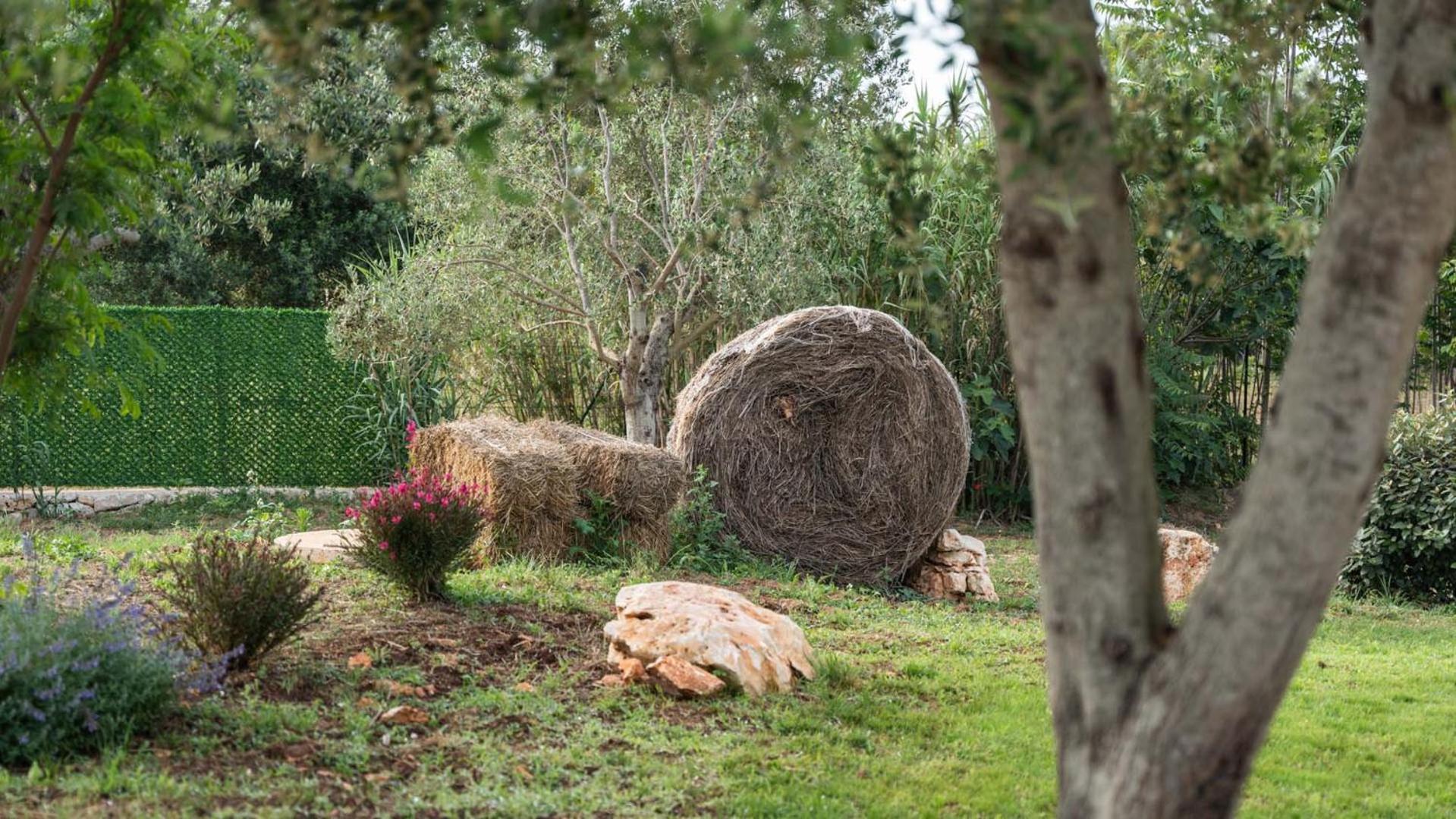Petranima Wellness In Trulli Bed & Breakfast Ostuni Dış mekan fotoğraf